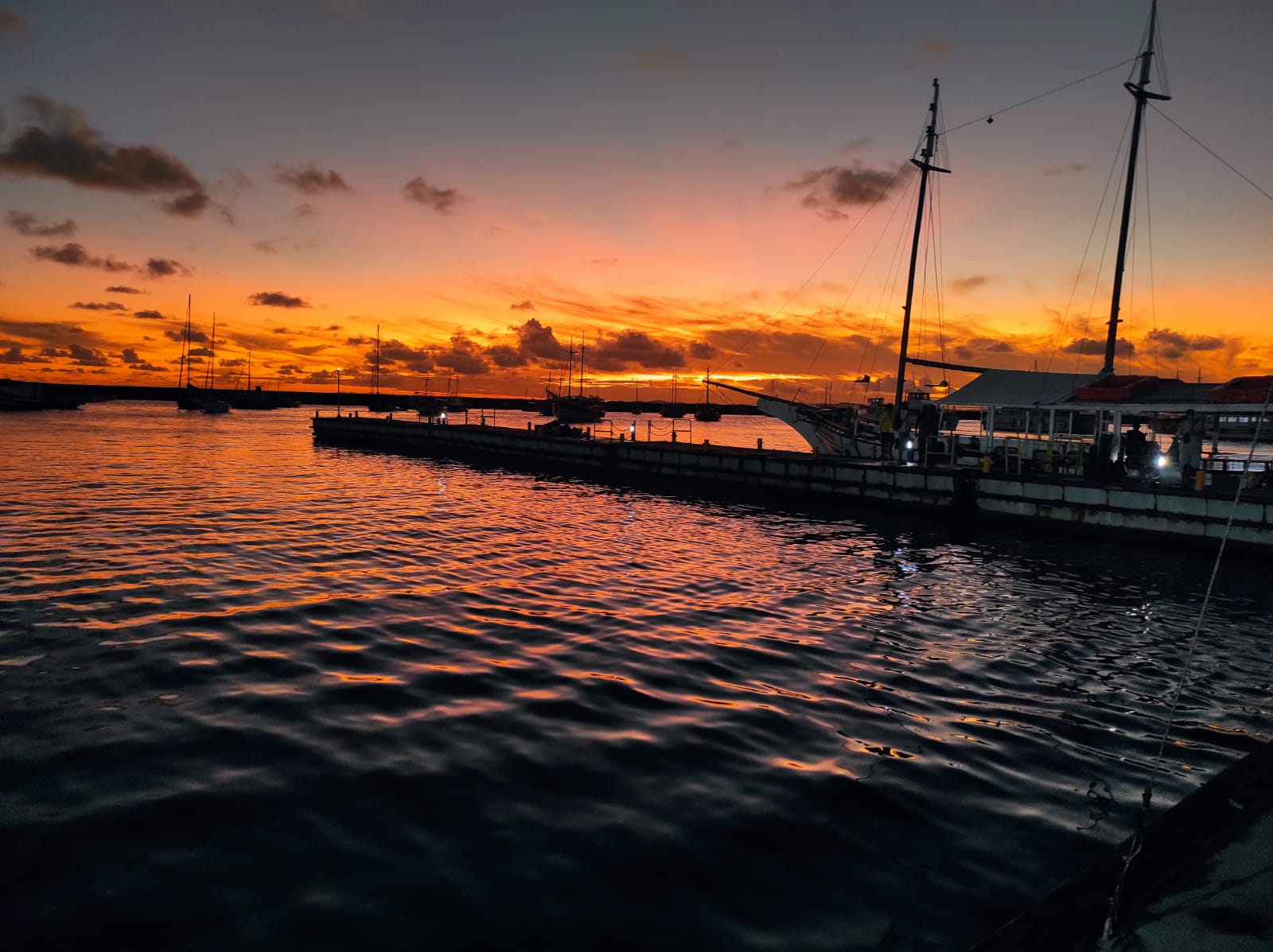 WhatsApp Image 2023-12-16 at 4.56.48 AM.jpeg